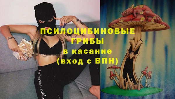 бошки Абаза