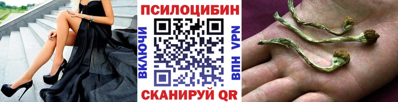мориарти клад  OMG tor  Шилка  Галлюциногенные грибы мухоморы 
